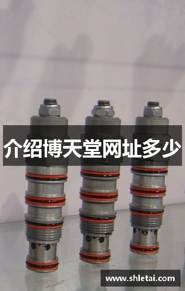 介绍博天堂网址多少